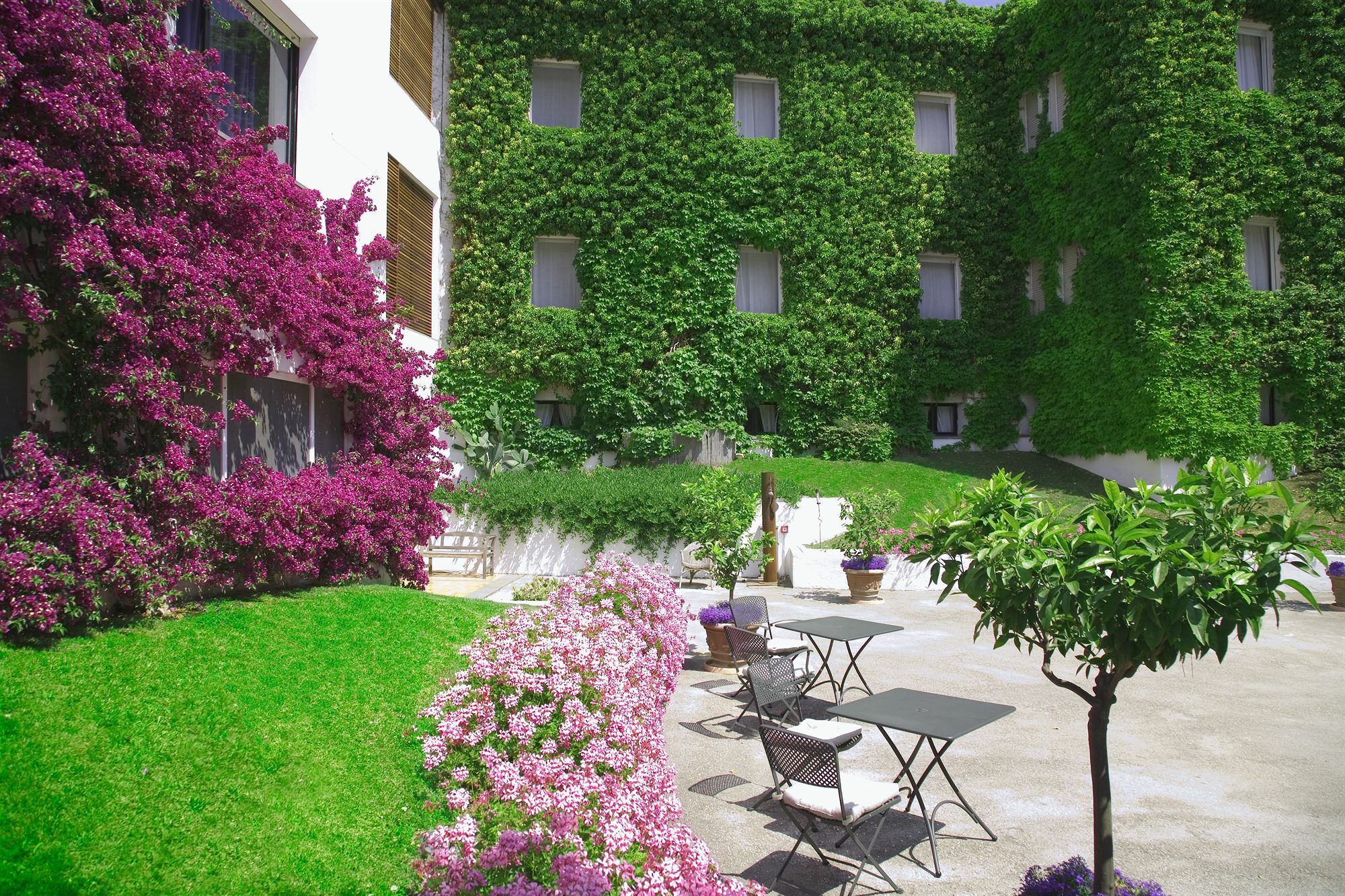 Hotel Emilia Ανκόνα Εξωτερικό φωτογραφία